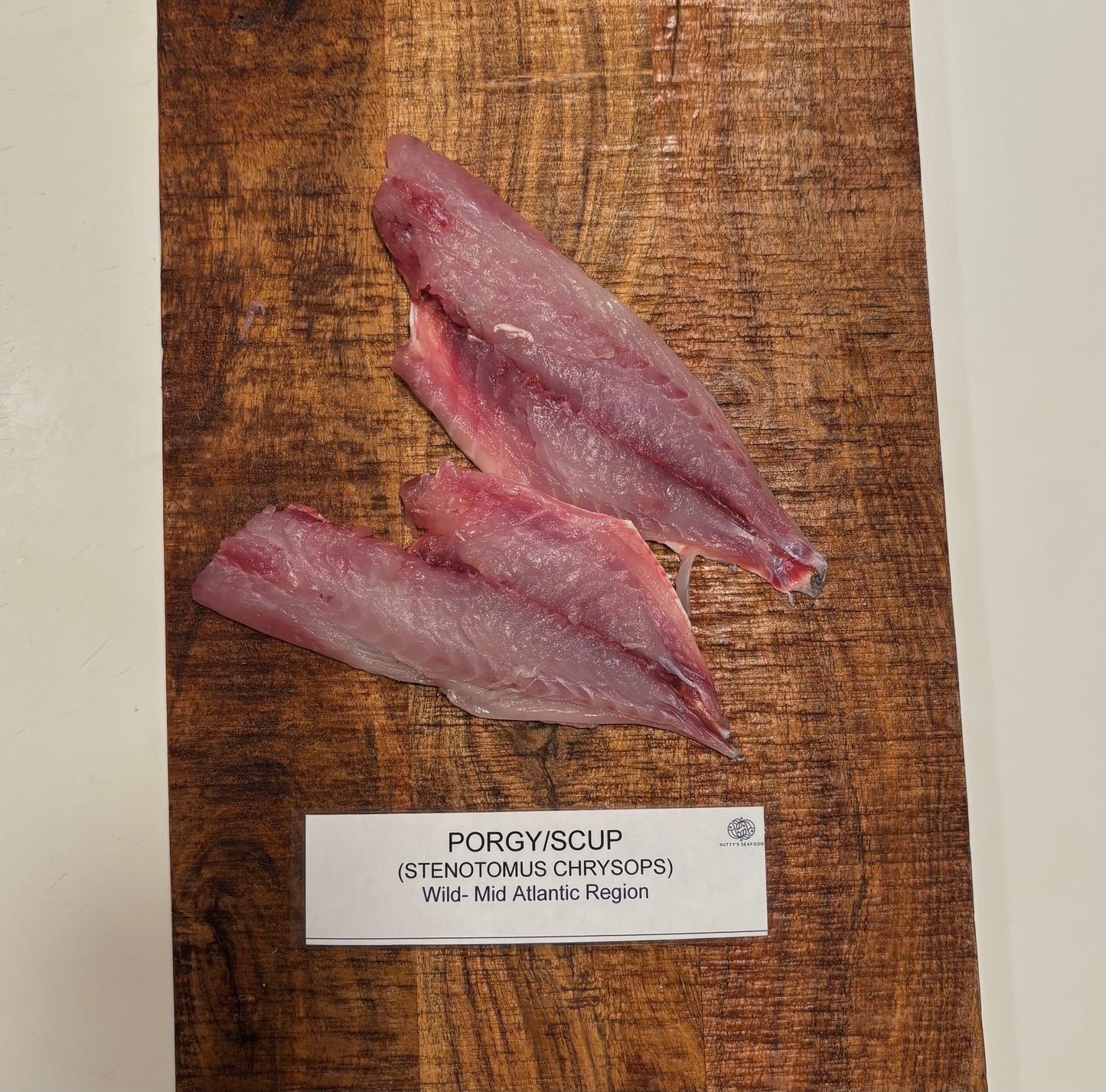 Porgy/Scup- Wild