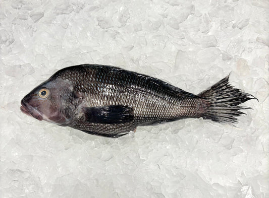 Black Sea Bass- Wild