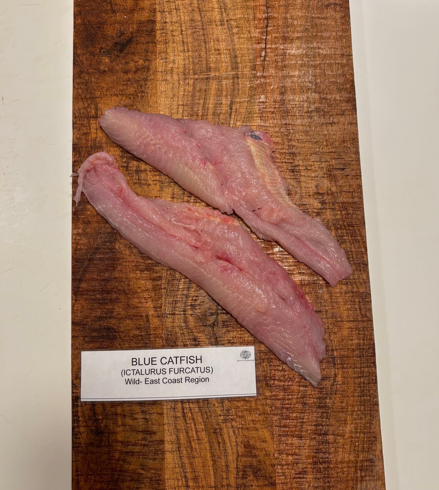 Blue Catfish- Wild