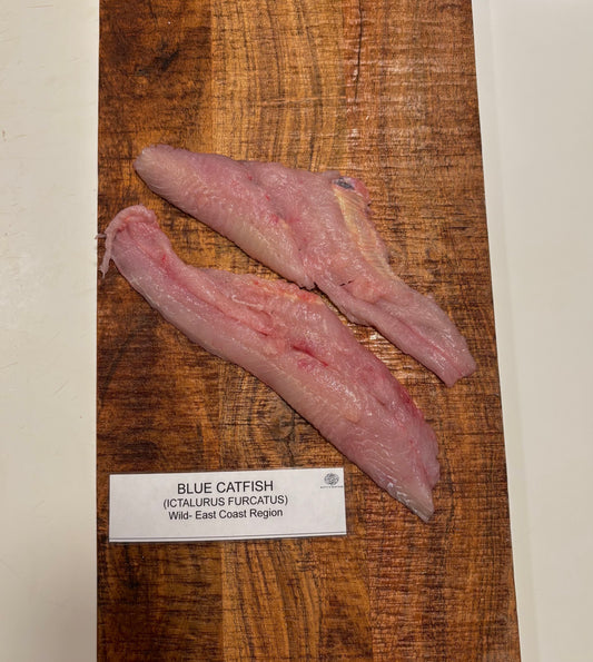 Blue Catfish- Wild