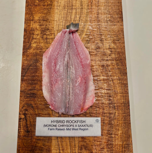 Hybrid Stripped Bass (Rockfish)