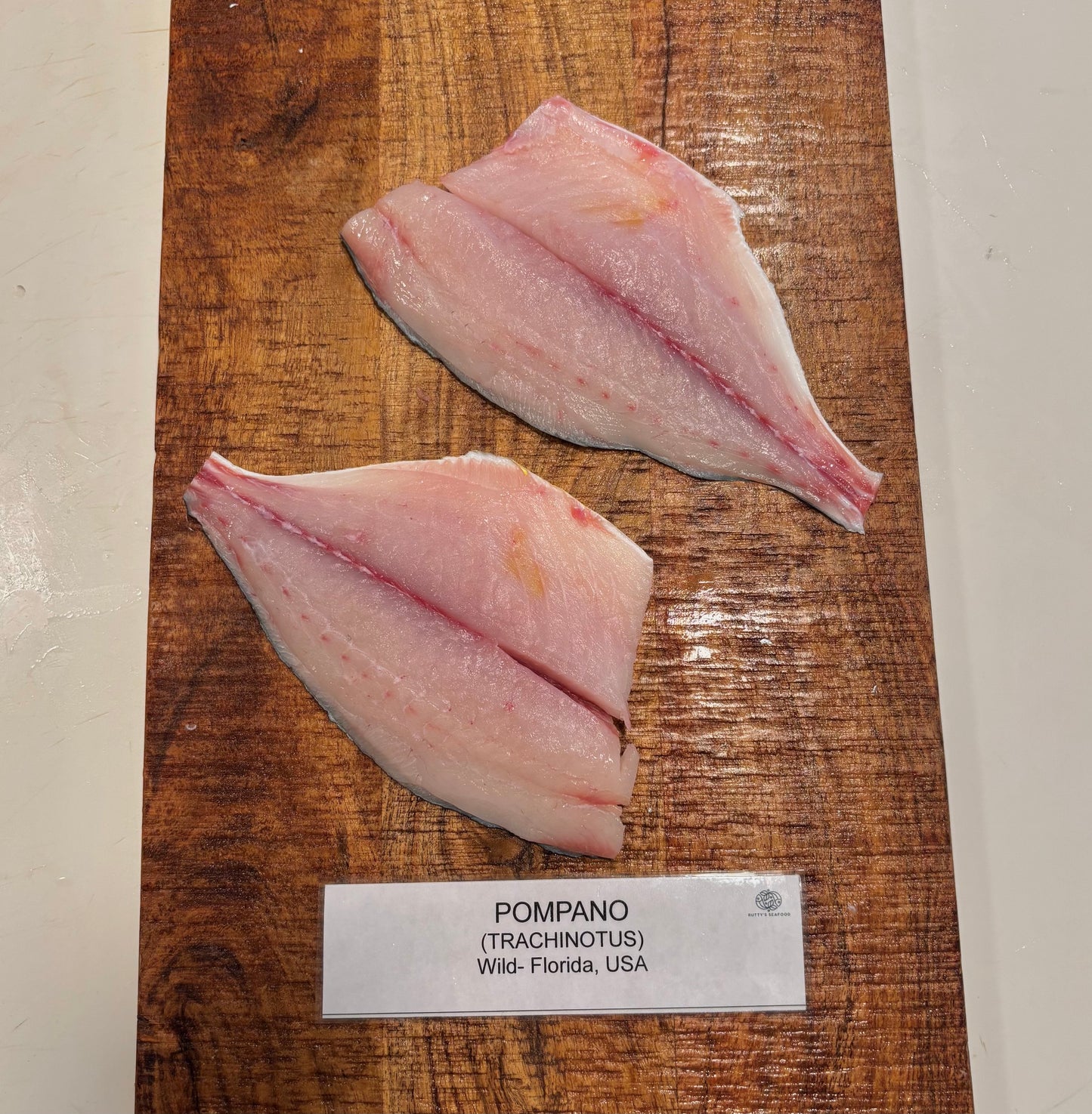 Florida Pompano-Wild