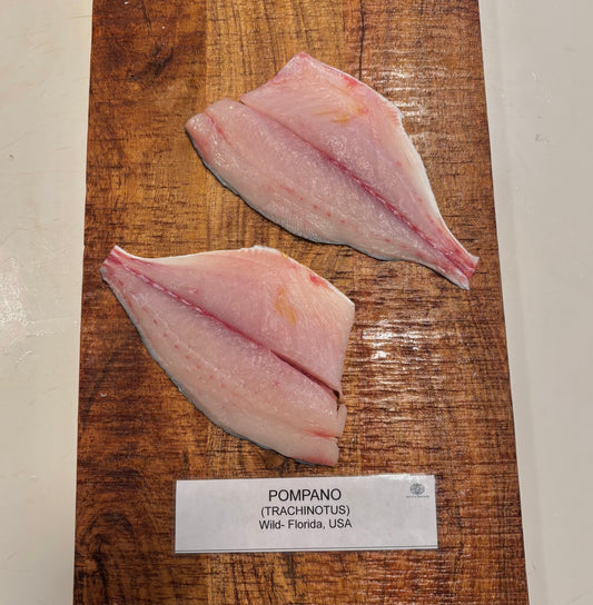 Florida Pompano-Wild
