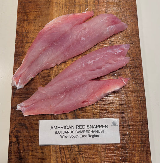 American Red Snapper- Wild